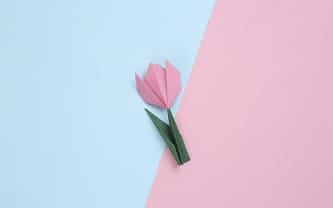 Какой сегодня праздник?