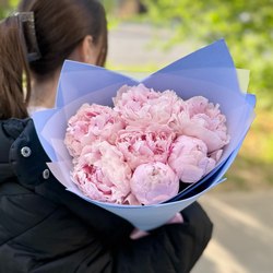 Пионы Пионы