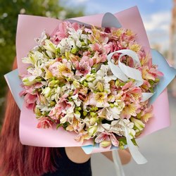 Альстромерия Альстромерия